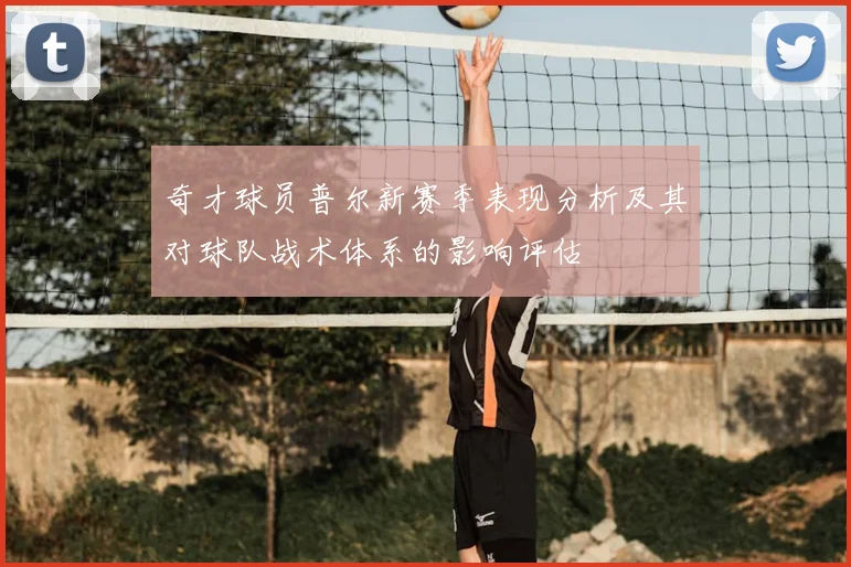 奇才球员普尔新赛季表现分析及其对球队战术体系的影响评估